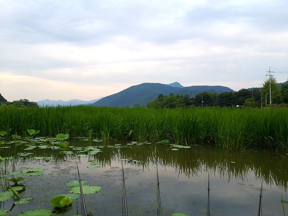 2014_04_2619.jpg