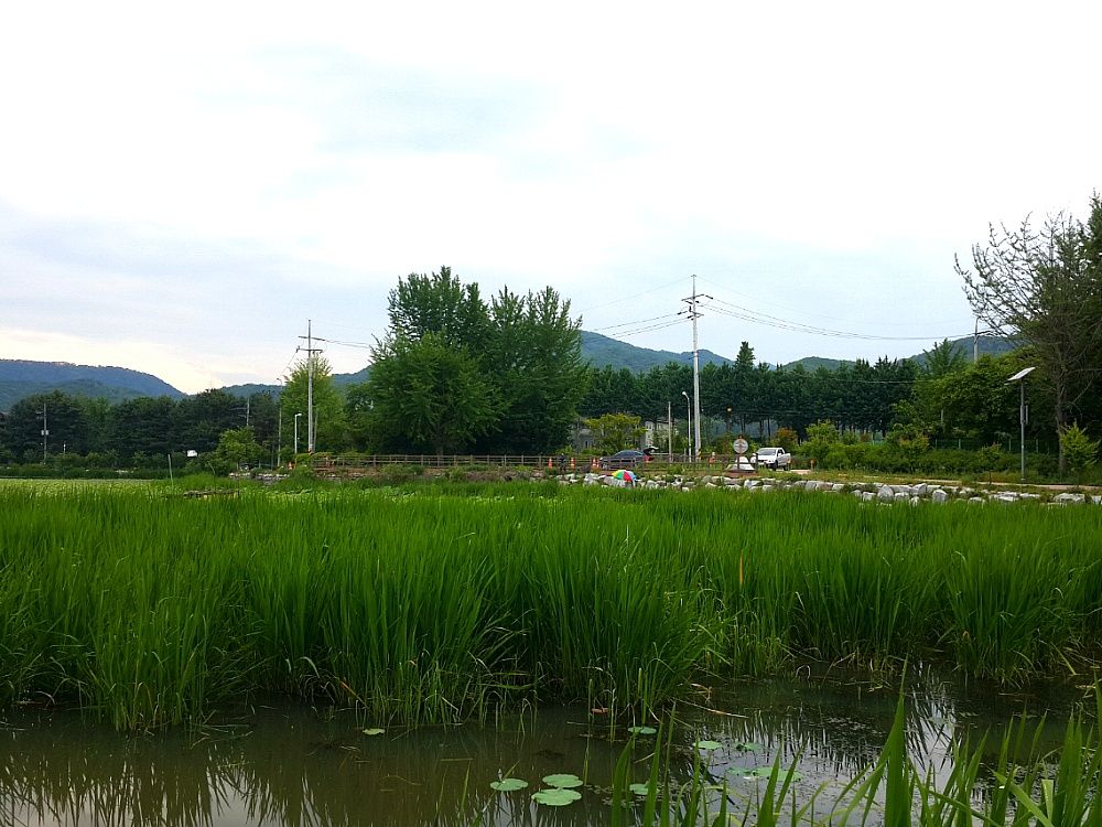 2014_04_2620.jpg