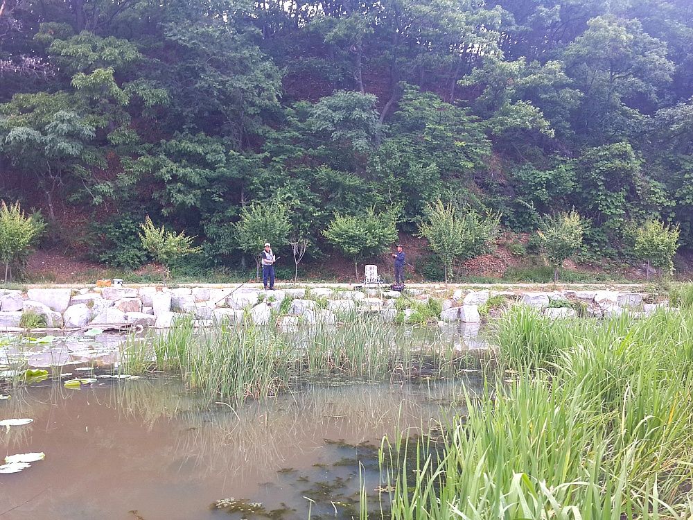 2014_04_2621.jpg