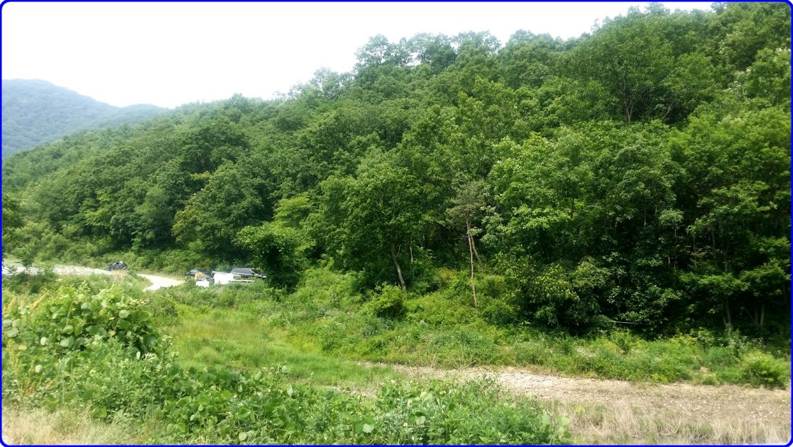 20150613_103835.jpg