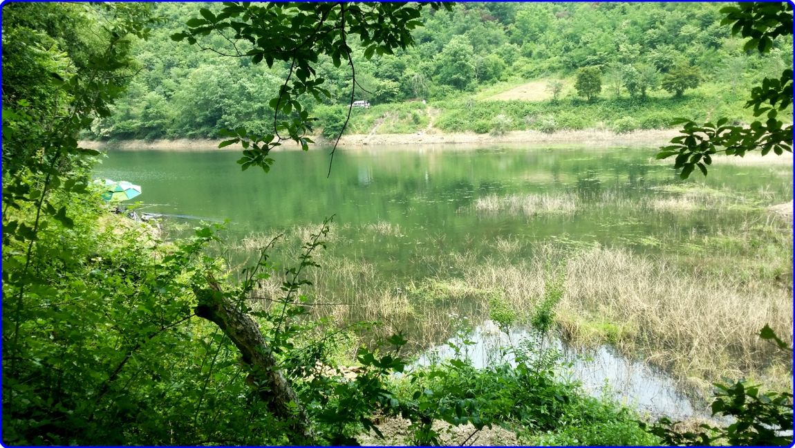 20150613_131259.jpg