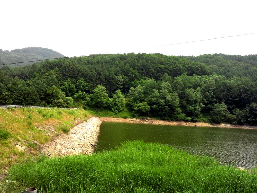 2015-06-13 13.42.07.jpg