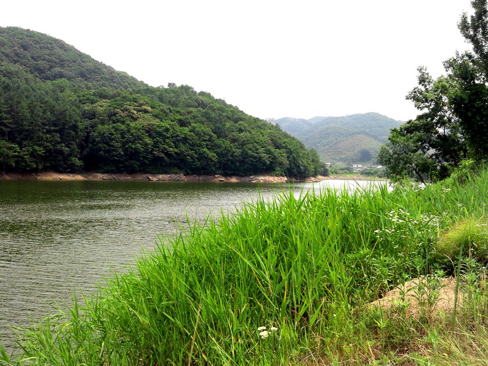 2015-06-13 13.44.46.jpg