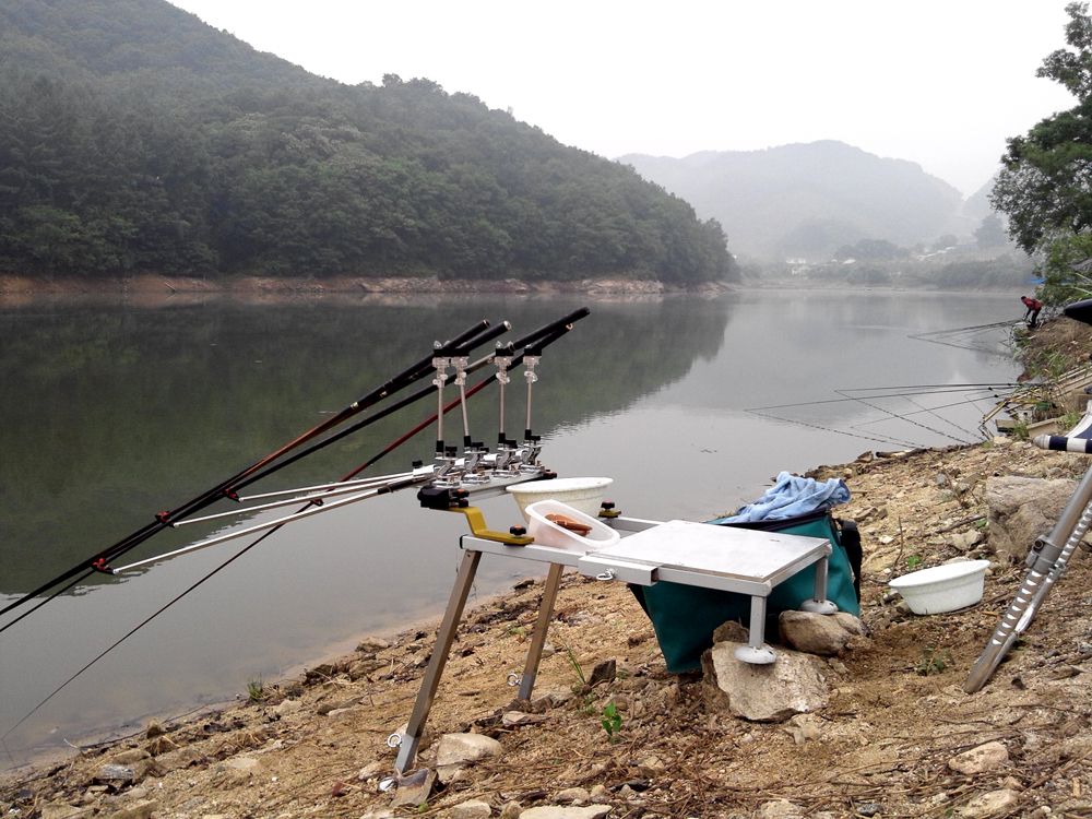 2015-06-14 05.50.14.jpg