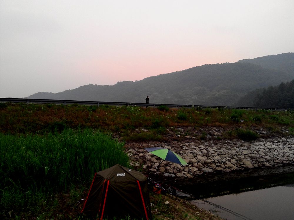 2015-06-14 05.44.12.jpg