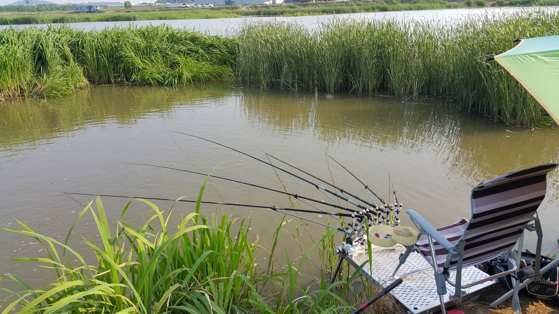 20150606_074759.jpg