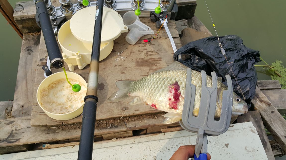 20150613_090854.jpg