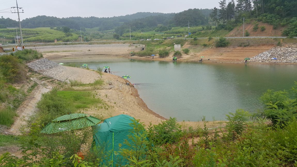 20150620_130539.jpg