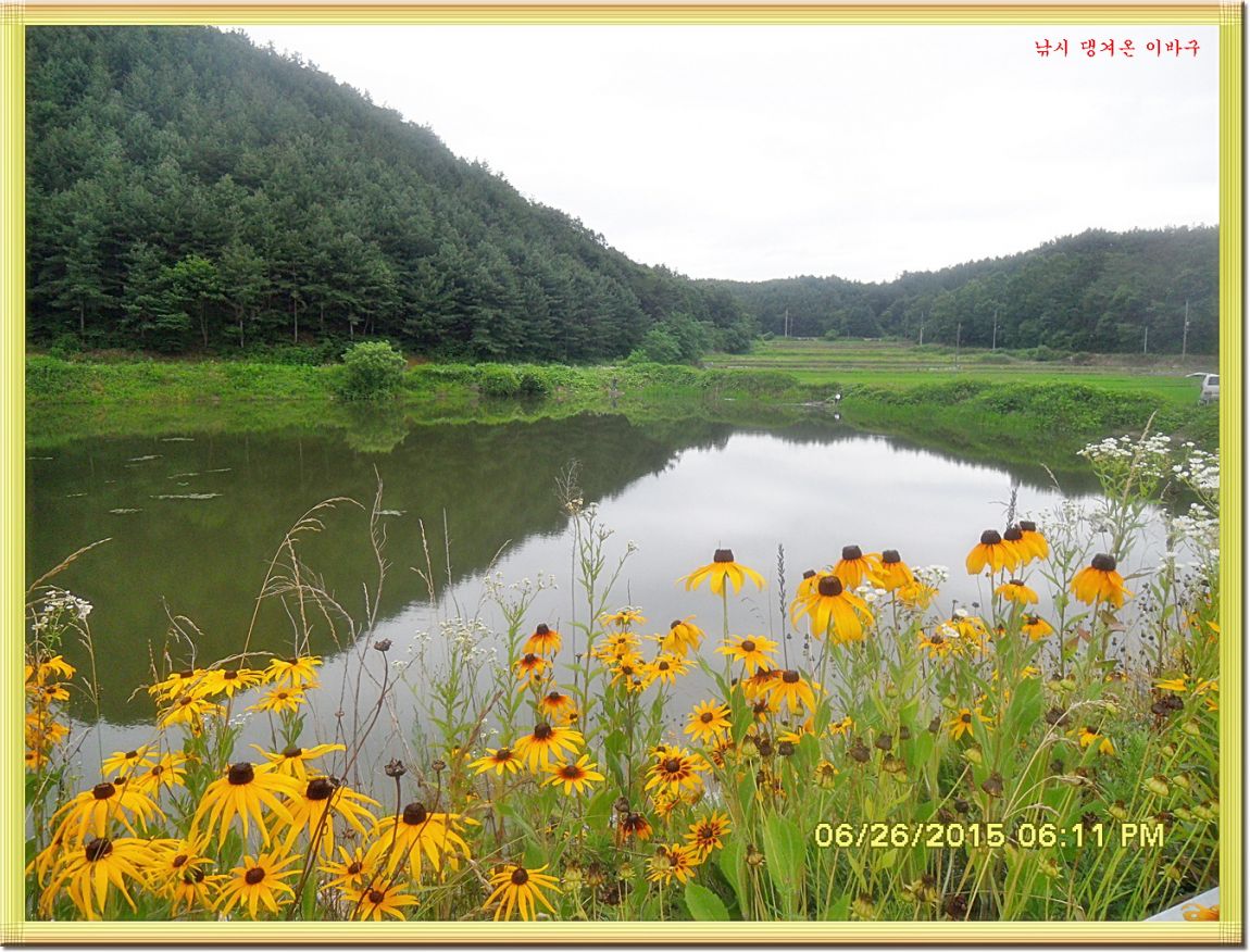 ٹ̱_SDC14648.jpg