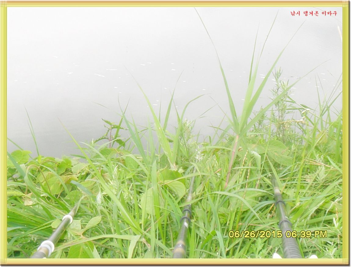 ٹ̱_SDC14651.jpg