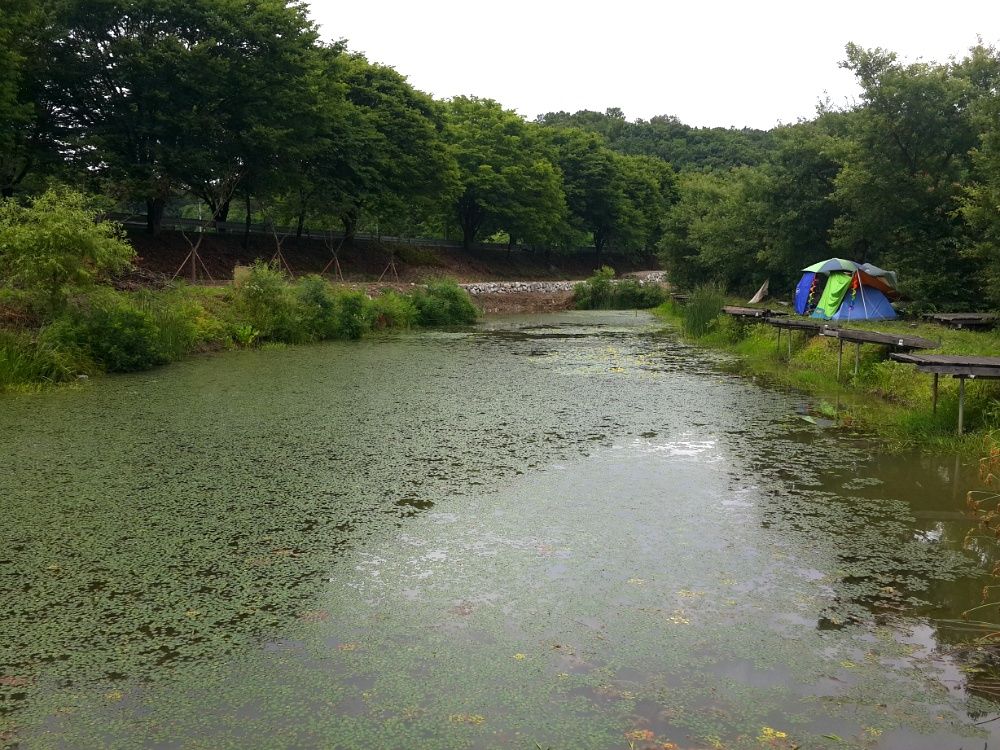 2014_04_2611.jpg