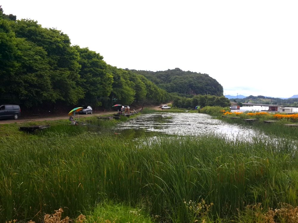 2014_04_2620.jpg
