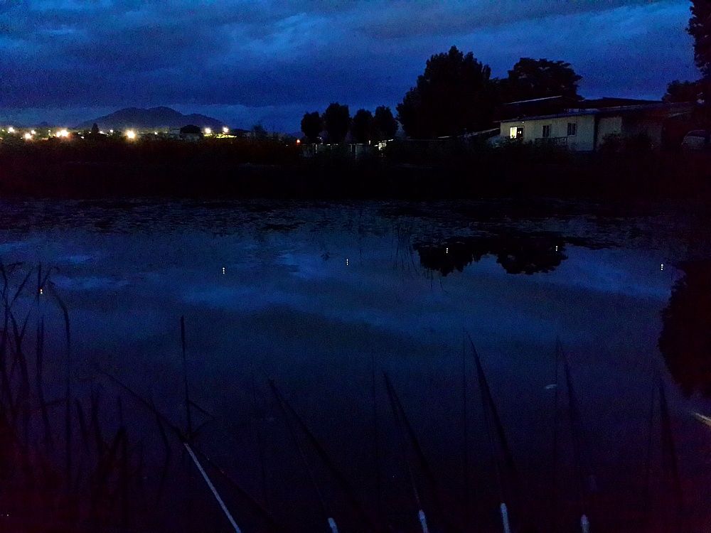 2014_04_2624.jpg