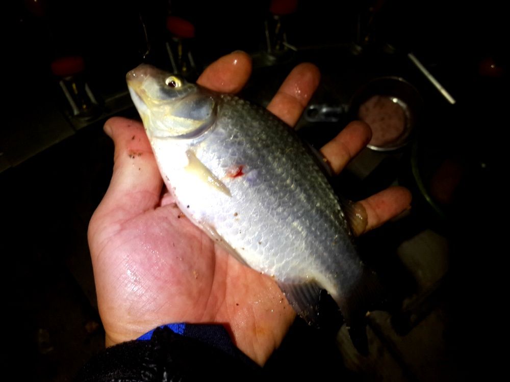 2014_04_2626.jpg