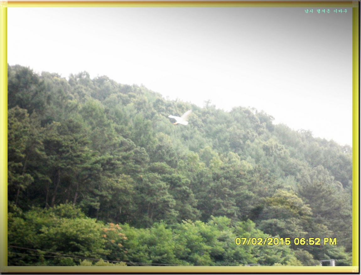 ٹ̱_SDC14807.jpg