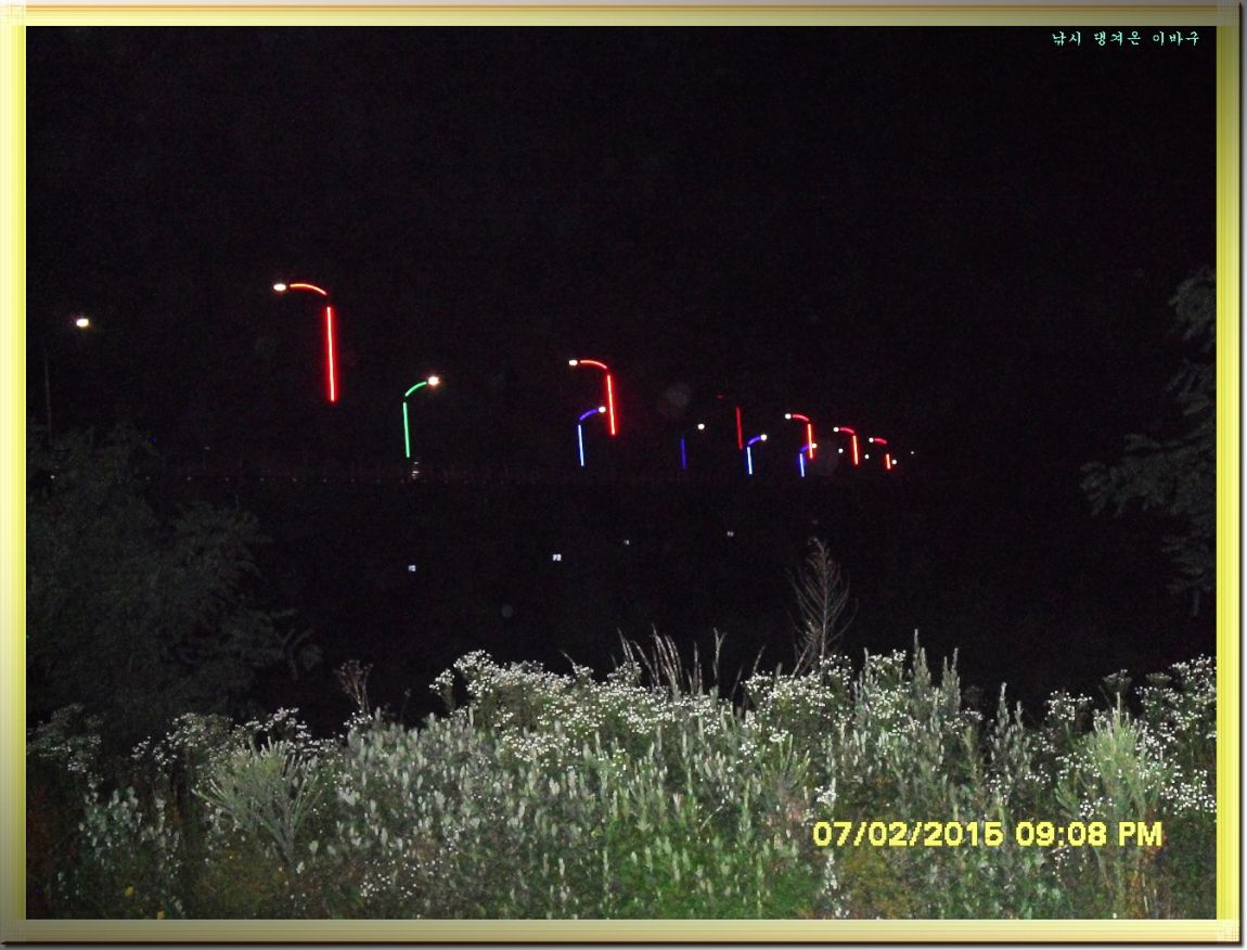 ٹ̱_SDC14821.jpg