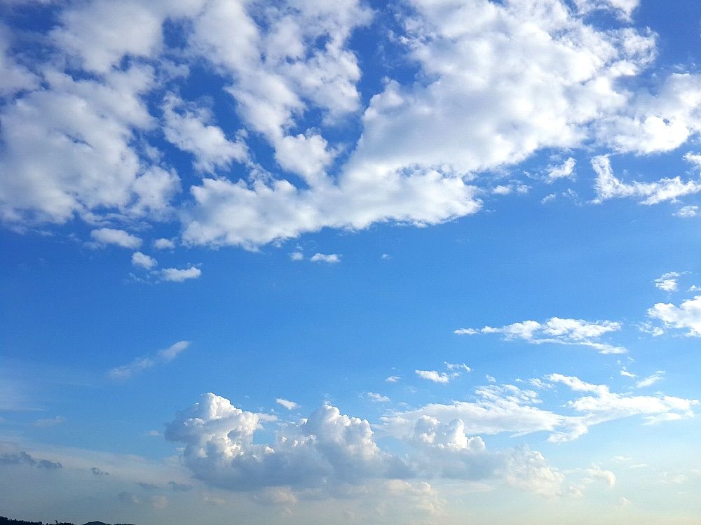 2014_04_262.jpg