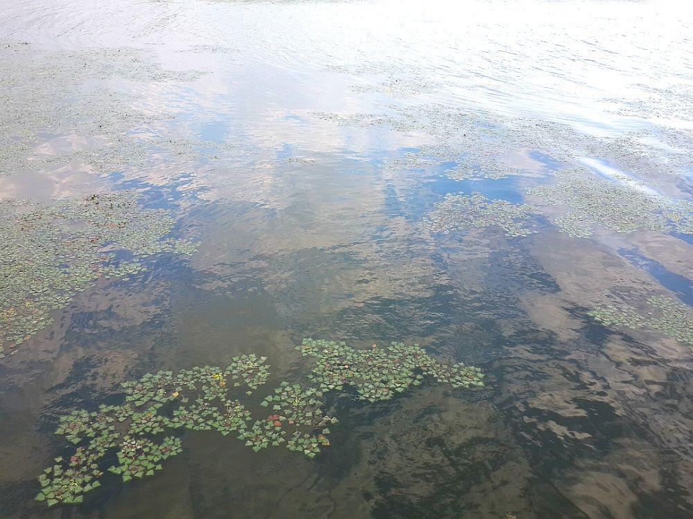 2014_04_268.jpg
