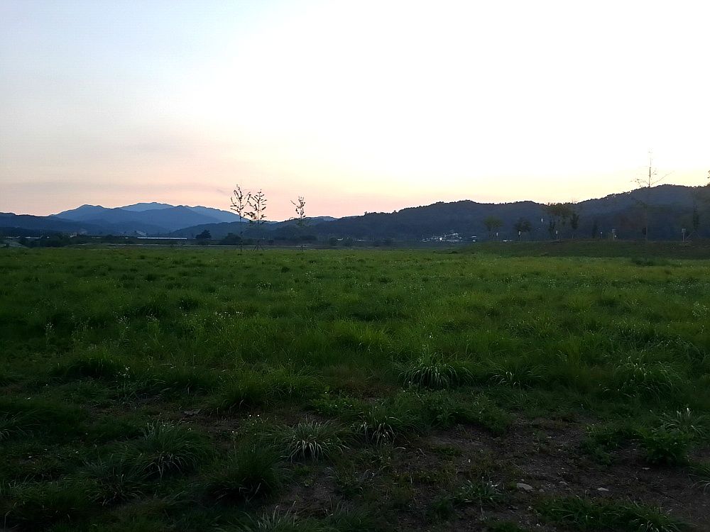 2014_04_2613.jpg