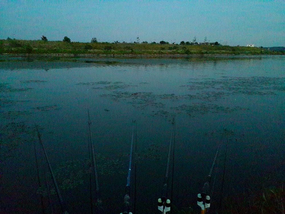 2014_04_2616.jpg