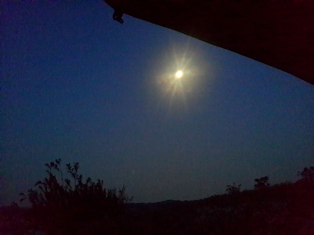 2014_04_2621.jpg