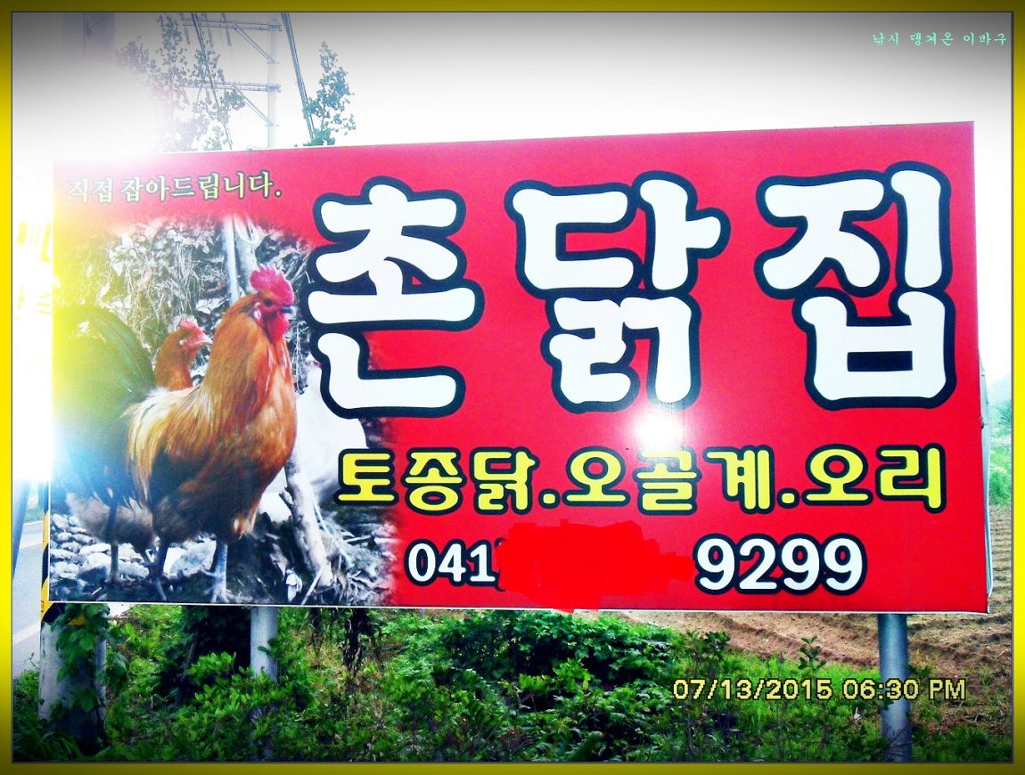 �ٹ̱�_SDC15133.jpg