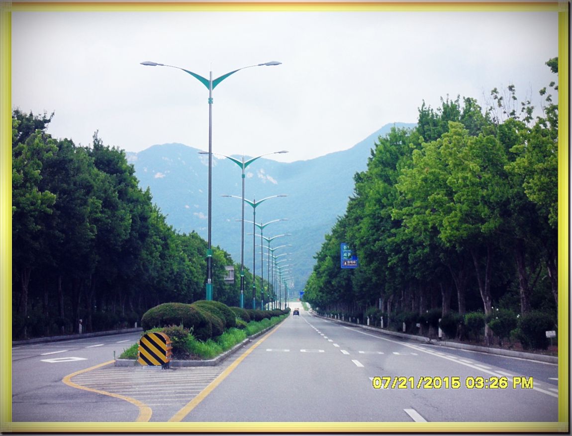 SDC15331.jpg