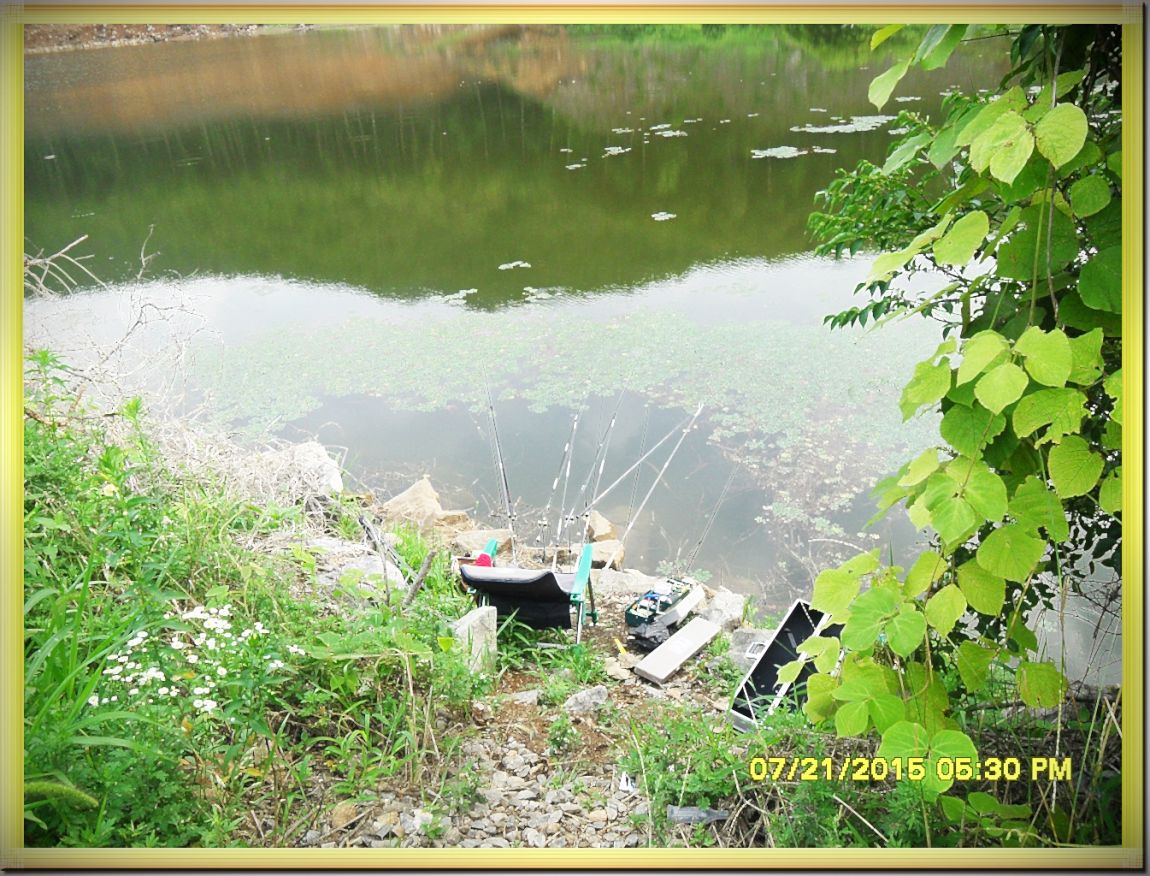 SDC15336.jpg