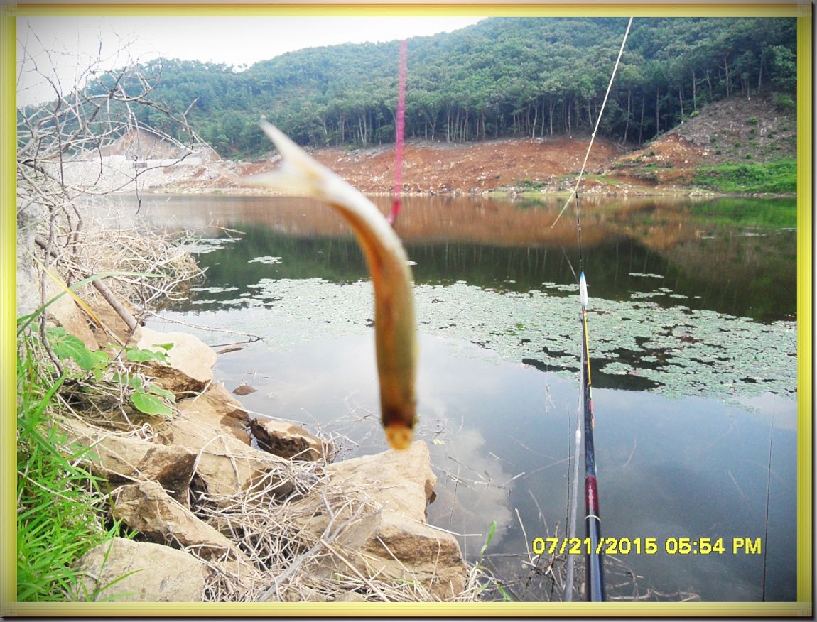 SDC15341.jpg