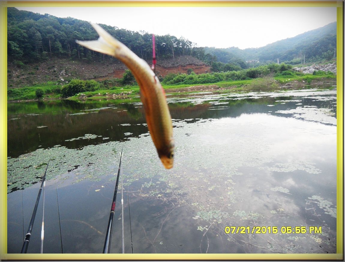 SDC15342.jpg