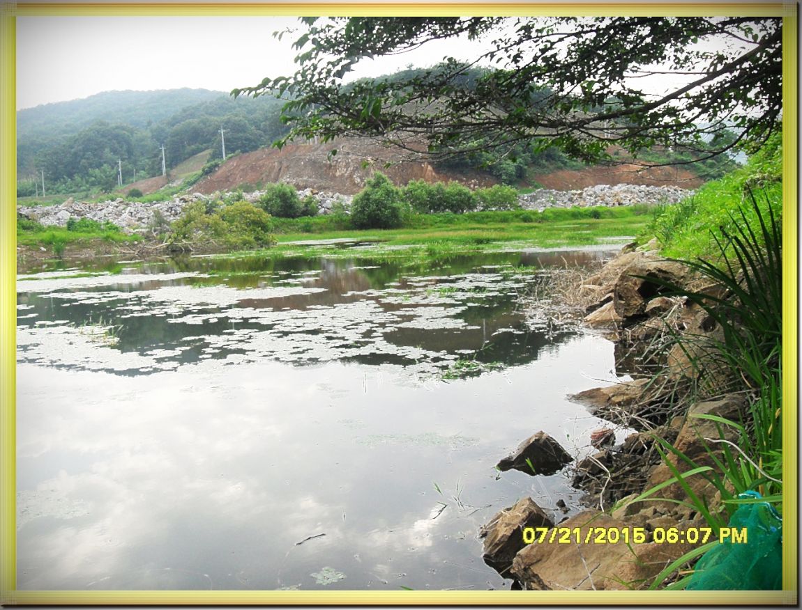 SDC15345.jpg