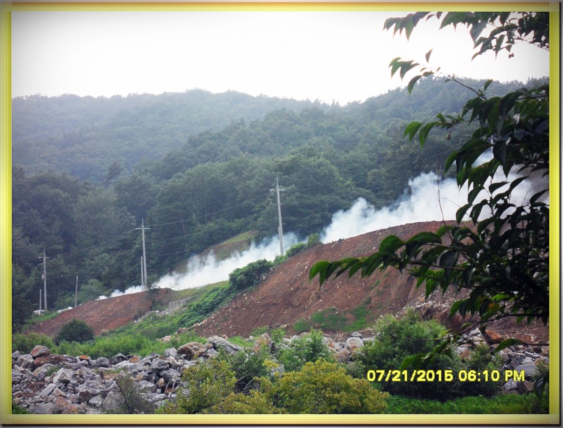 SDC15346.jpg