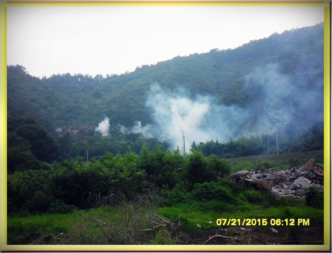 SDC15347.jpg