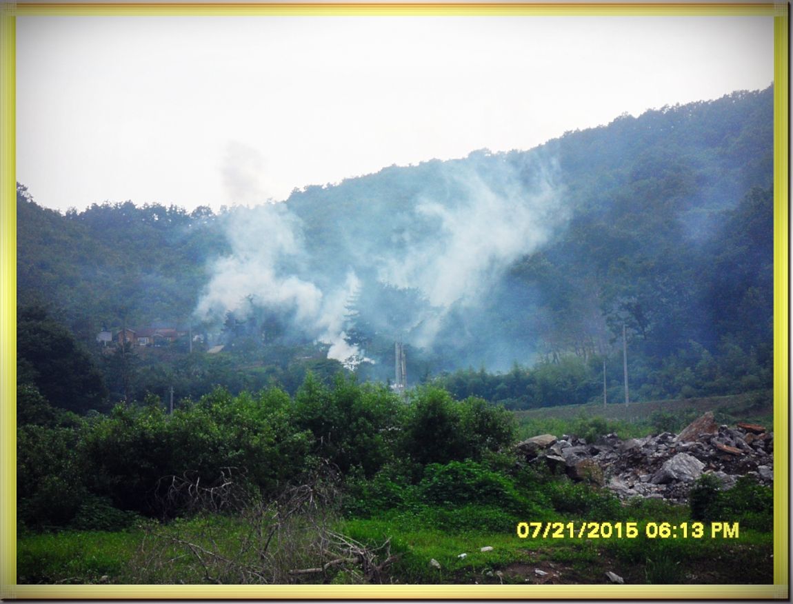 SDC15348.jpg