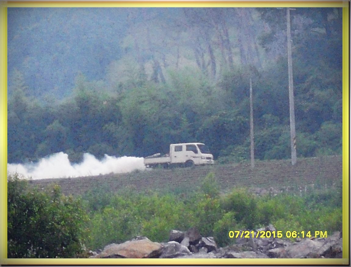 SDC15349.jpg