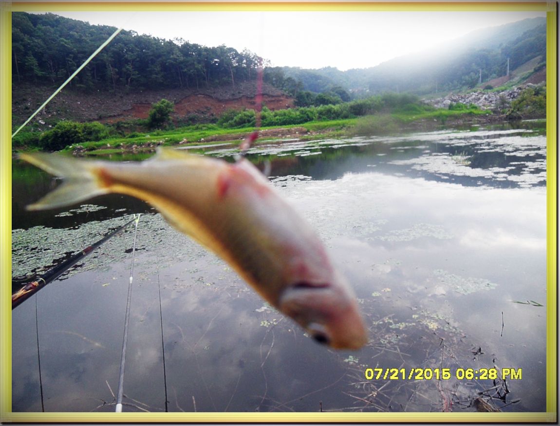 SDC15350.jpg