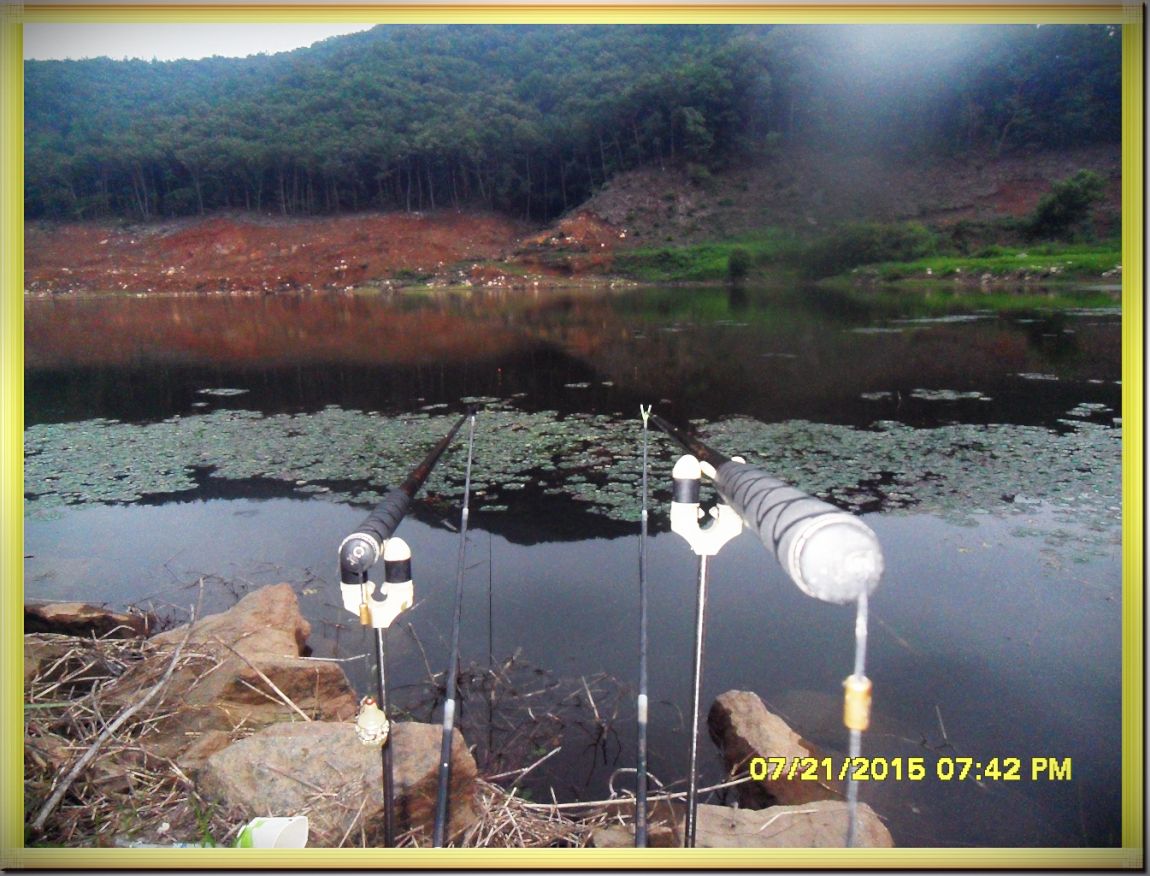 SDC15353.jpg