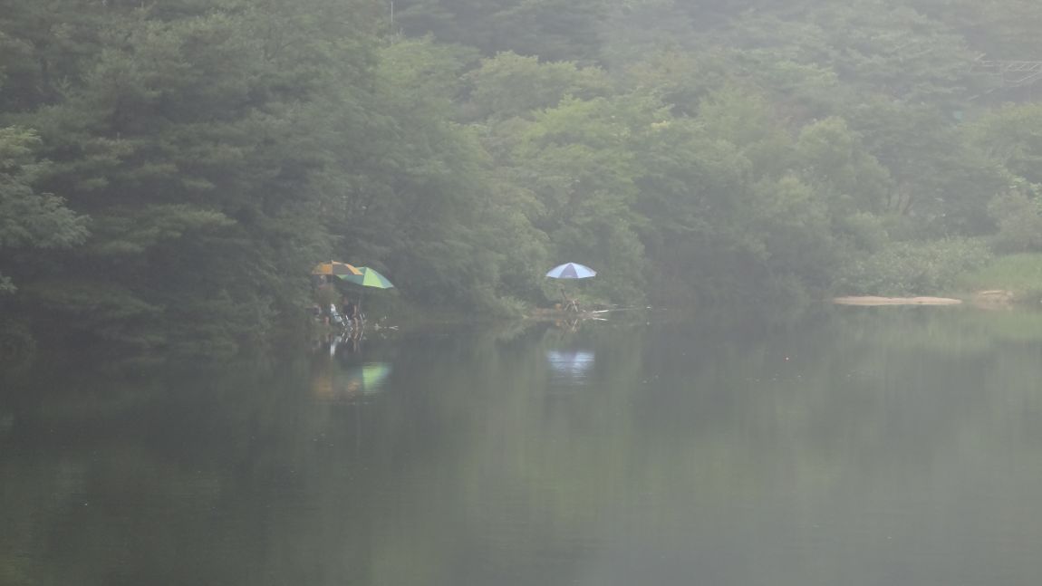 009.JPG
