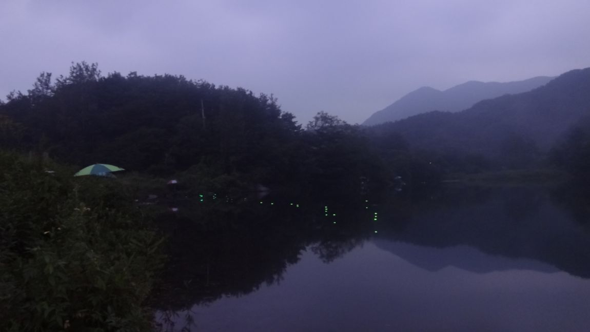 040.JPG