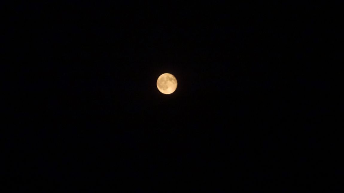 050.JPG