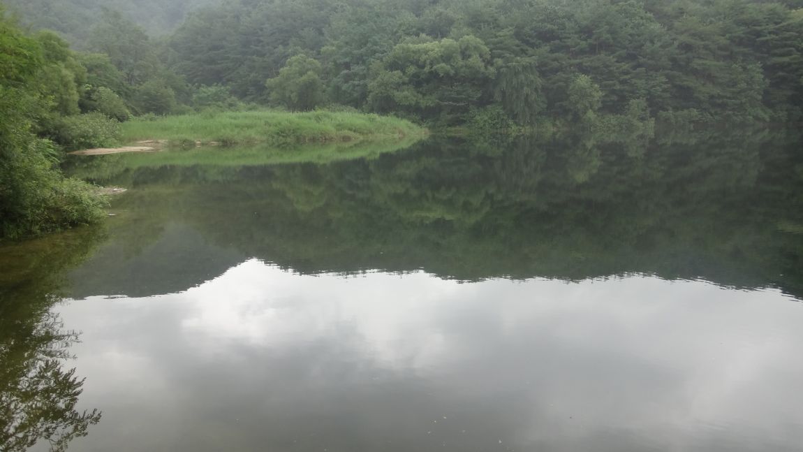 106.JPG