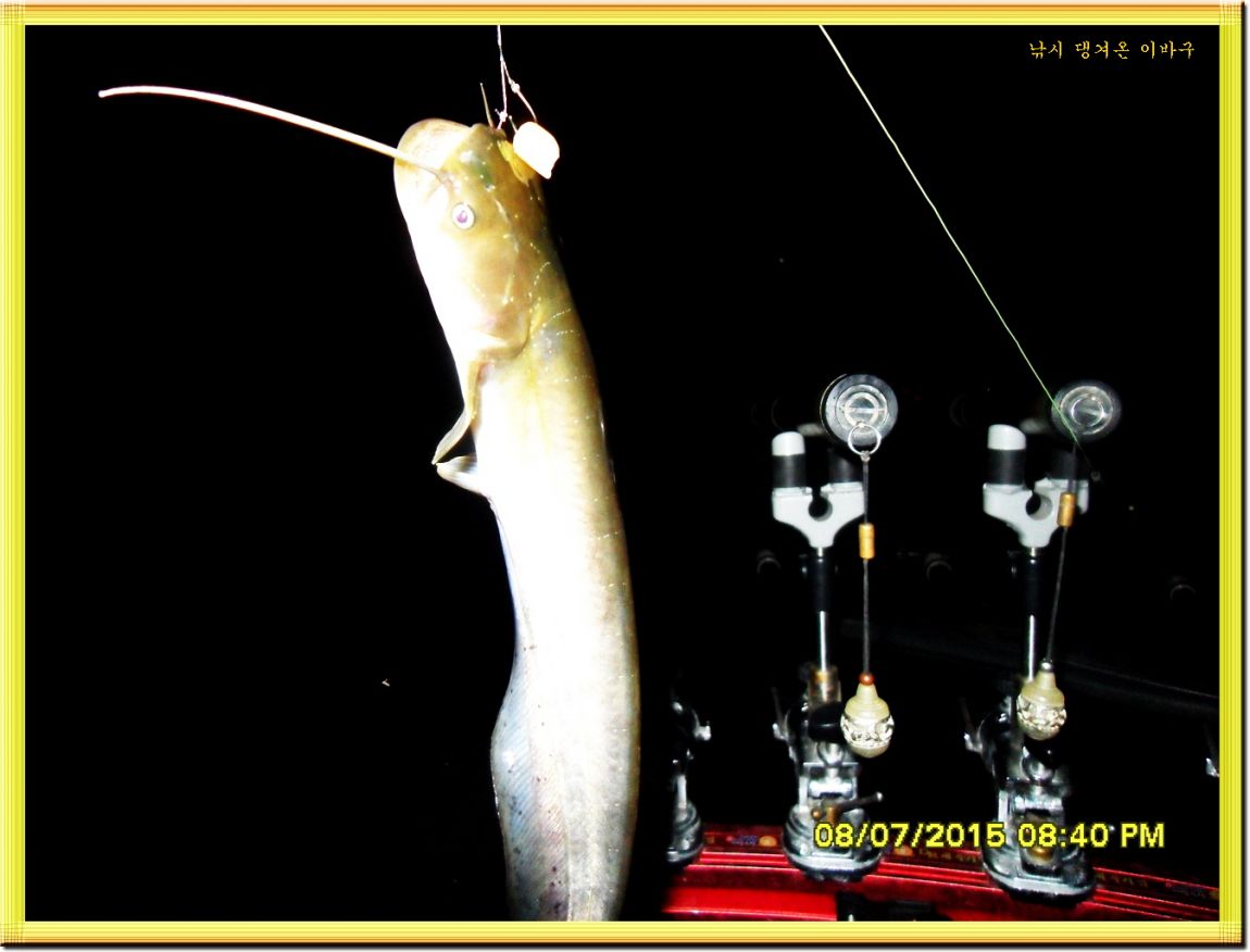 �ٹ̱�_SDC15611.jpg