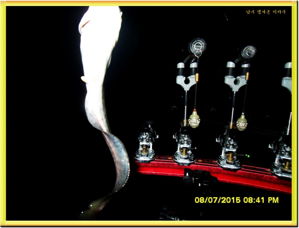 �ٹ̱�_SDC15613.jpg