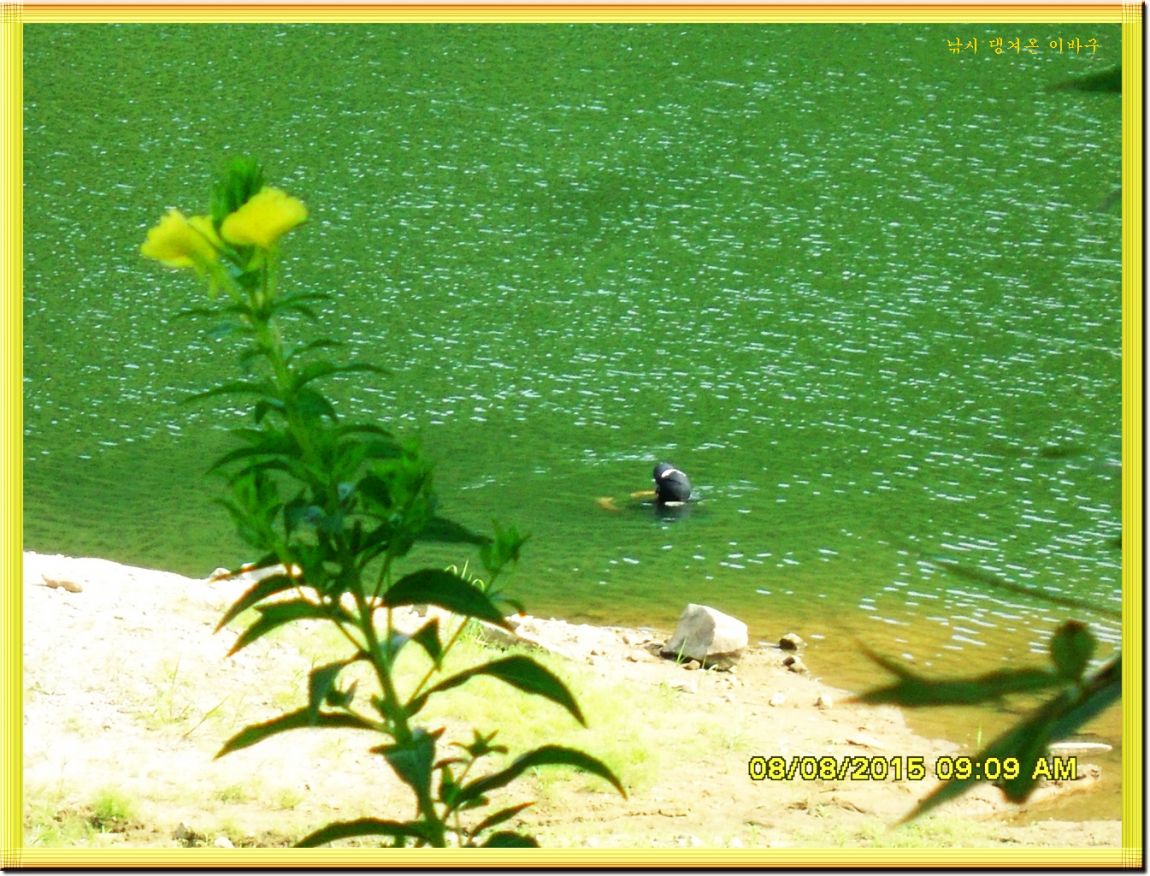 �ٹ̱�_SDC15636.jpg