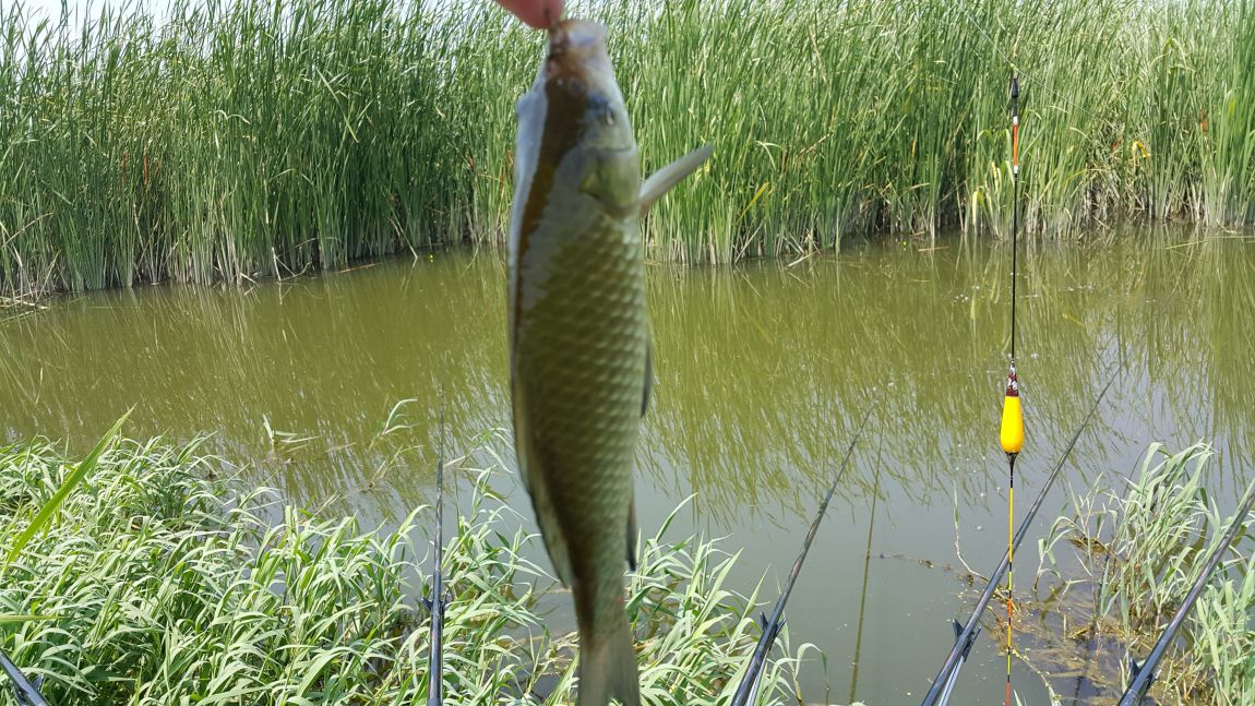 20150806_131104.jpg