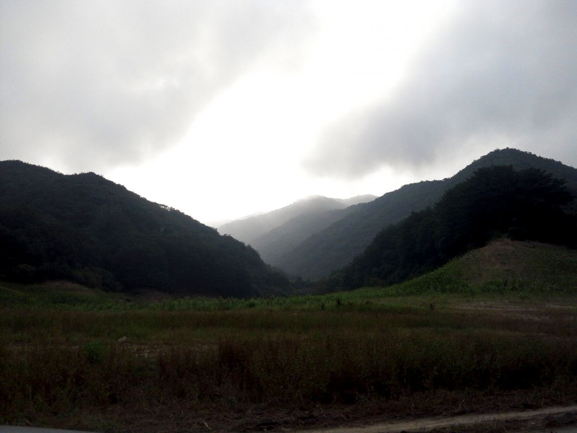 2015-08-08 07.48.27.jpg