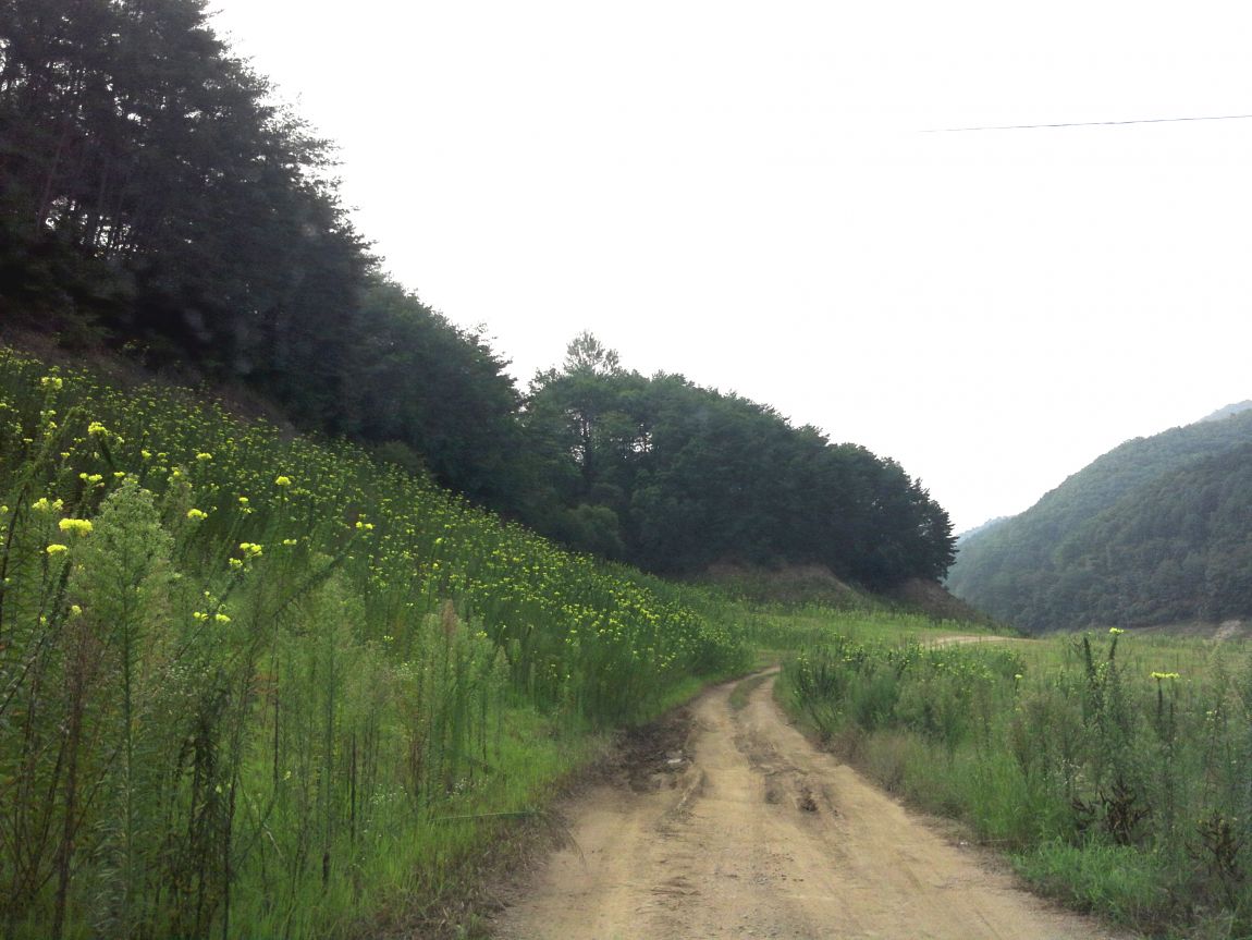2015-08-08 08.48.35.jpg