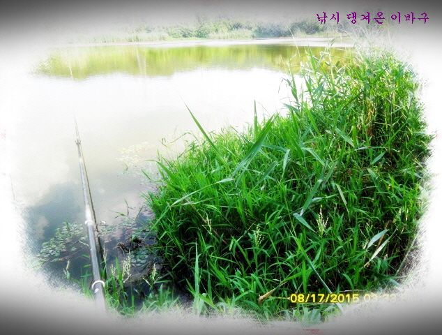 �ٹ̱�_�ٹ̱�_SDC15801.jpg