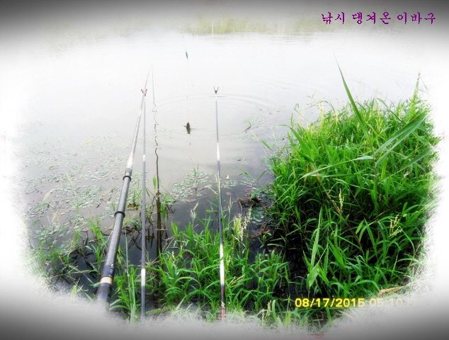 �ٹ̱�_�ٹ̱�_SDC15804.jpg