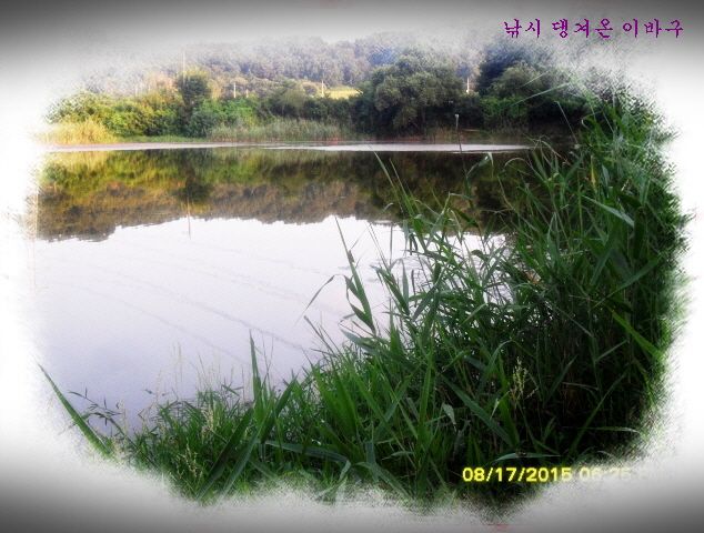 �ٹ̱�_�ٹ̱�_SDC15818.jpg
